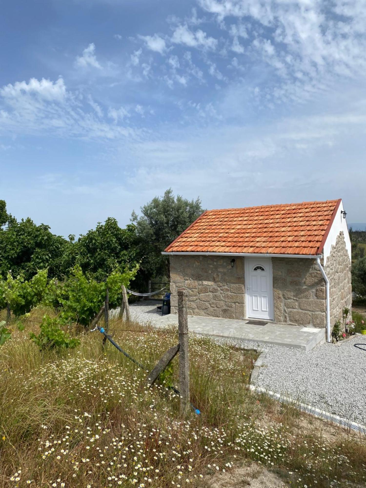 Casa De Pedra Em Vinha No Dao Villa Нелас Екстериор снимка